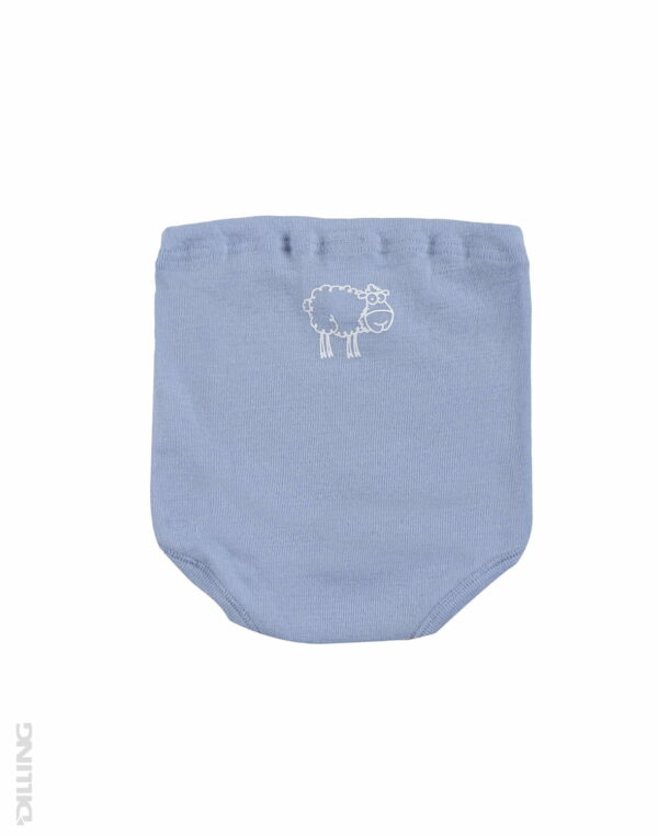 Chiloti albastri din lana merinos organica Dilling Underwear 2