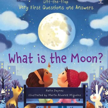 What Is The Moon? -  Katie Daynes Usborne Publishing carte cu clapete