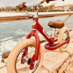 Bicicletă fără pedale vintage 2 în 1 tricicletă copii roșu Trybike 3