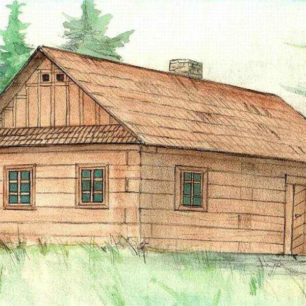 Set construcţie arhitectură Casa din busteni 100 piese din lemn Walachia