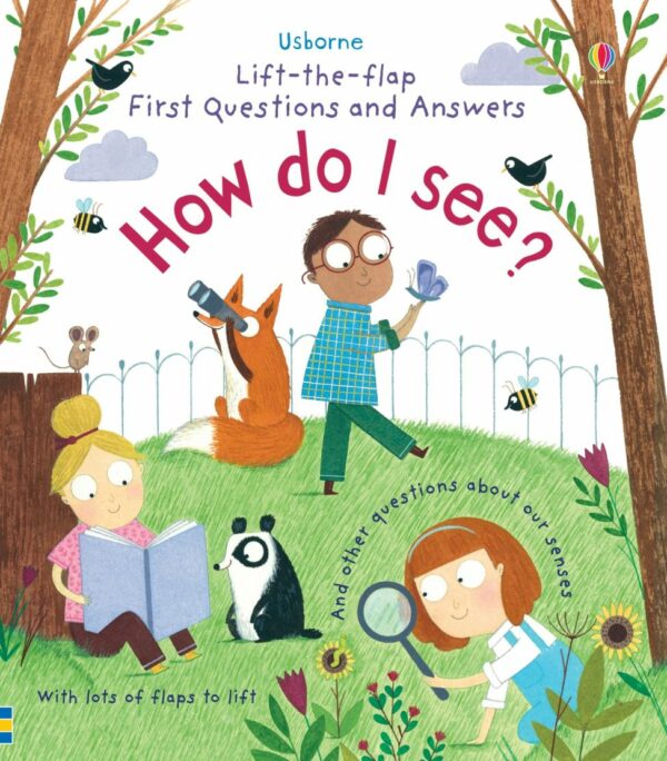 Lift-The-Flap First Q&A How Do I See? - Katie Daynes Usborne Publishing