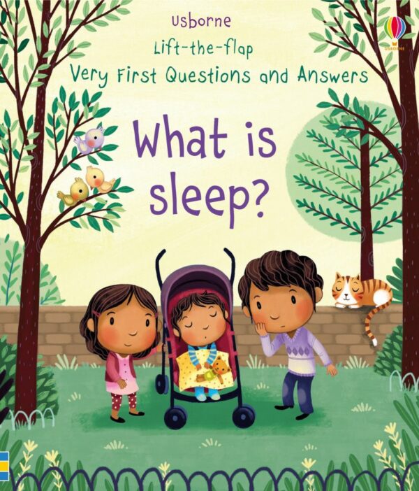 Lift-The-Flap First Q&A What Is Sleep? - Katie Daynes Usborne Publishing
