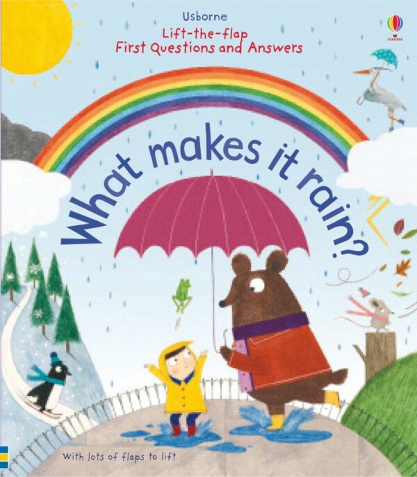 Lift-The-Flap First Q&A What Makes It Rain - Katie Daynes Usborne Publishing