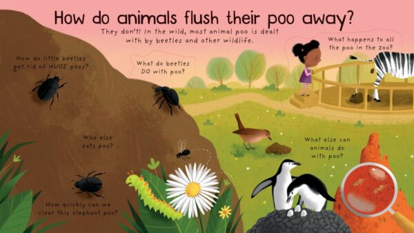 Lift-The-Flap First Q&A Where Does Poo Go? - Katie Daynes Usborne Publishing