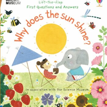 Lift-The-Flap First Q&A Why Does The Sun Shine? - Katie Daynes Usborne Publishing