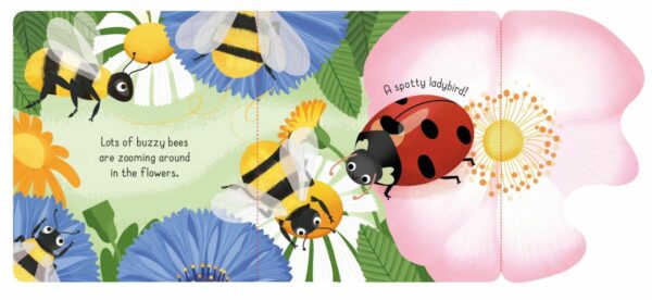 Little Lift And Look Bugs - Anna Milbourne Usborne Publishing