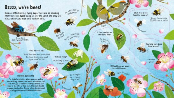 Look Inside The World Of Bees - Emily Bone Usborne Publishing
