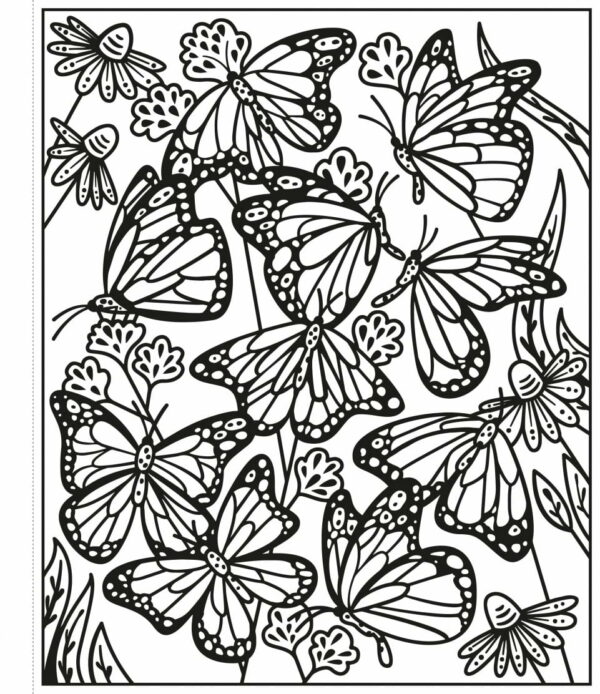 Magic Painting Butterflies Sg - Abigail Wheatley Usborne Publishing