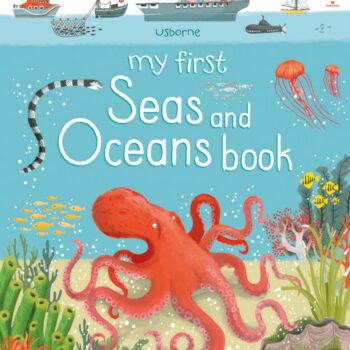 My First Seas And Oceans Book - Matthew Oldham Usborne Publishing