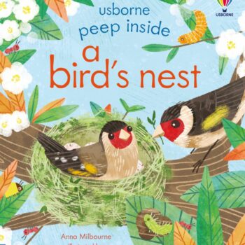 Peep Inside A Bird's Nest - Anna Milbourne Usborne Publishing