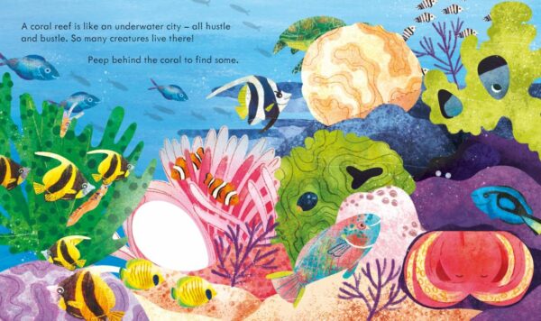 Peep Inside A Coral Reef - Anna Milbourne Usborne Publishing