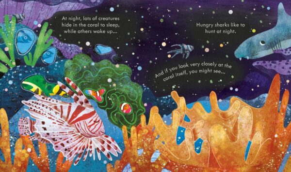 Peep Inside A Coral Reef - Anna Milbourne Usborne Publishing