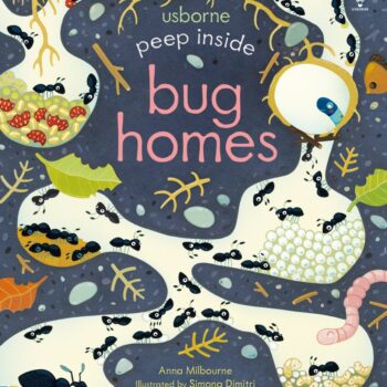 Peep Inside Bug Homes - Anna Milbourne Usborne Publishing