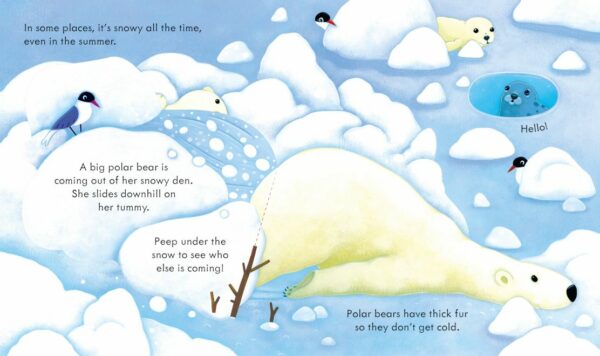 Peep Inside Snowy Places - Anna Milbourne Usborne Publishing