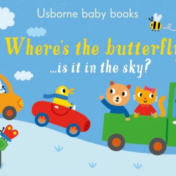 Where's The Butterfly? - Sam Taplin Usborne Publishing