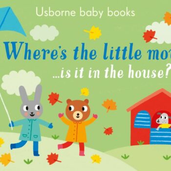 Where's The Little Mouse? - Sam Taplin Usborne Publishing